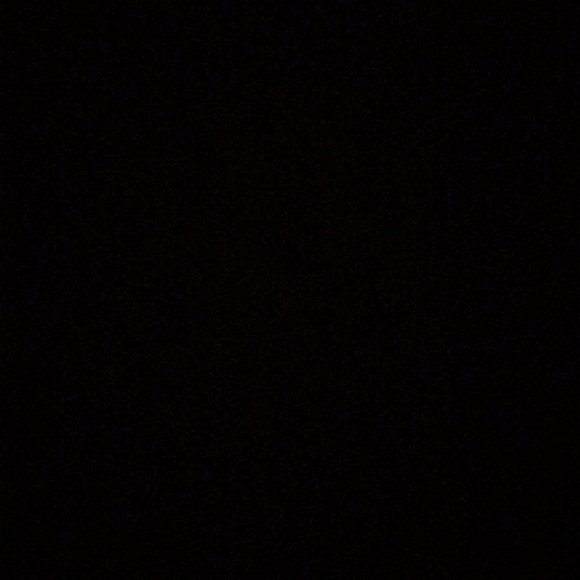 Meet your Posher, Millie - Picture 1 of 1